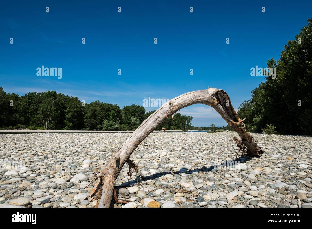 Parco naturale lombardo della valle del ticino. castelletto di cuggiono