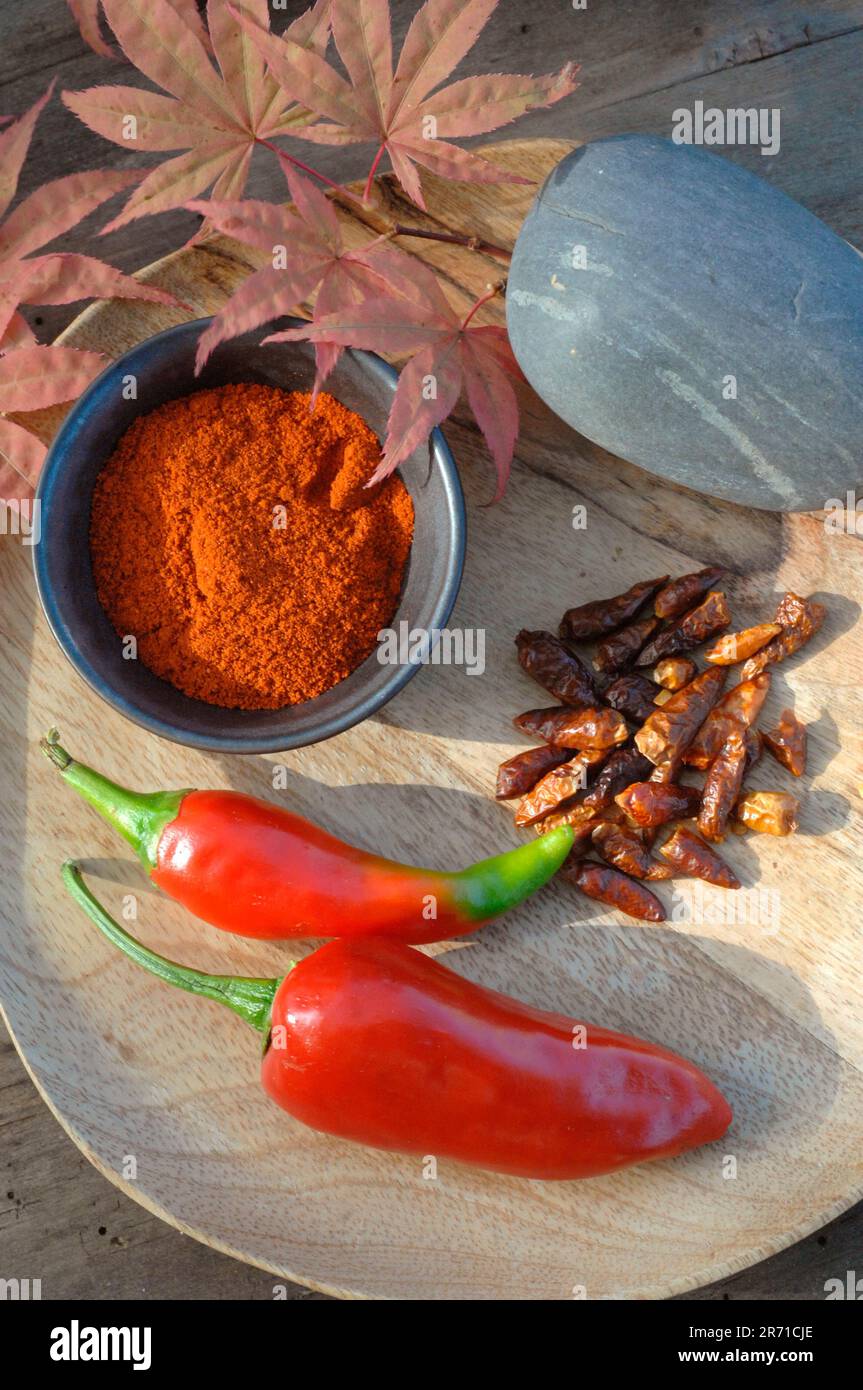 Pepper (Capsicum annuum) powder, dried and fresh, red Maple leaves