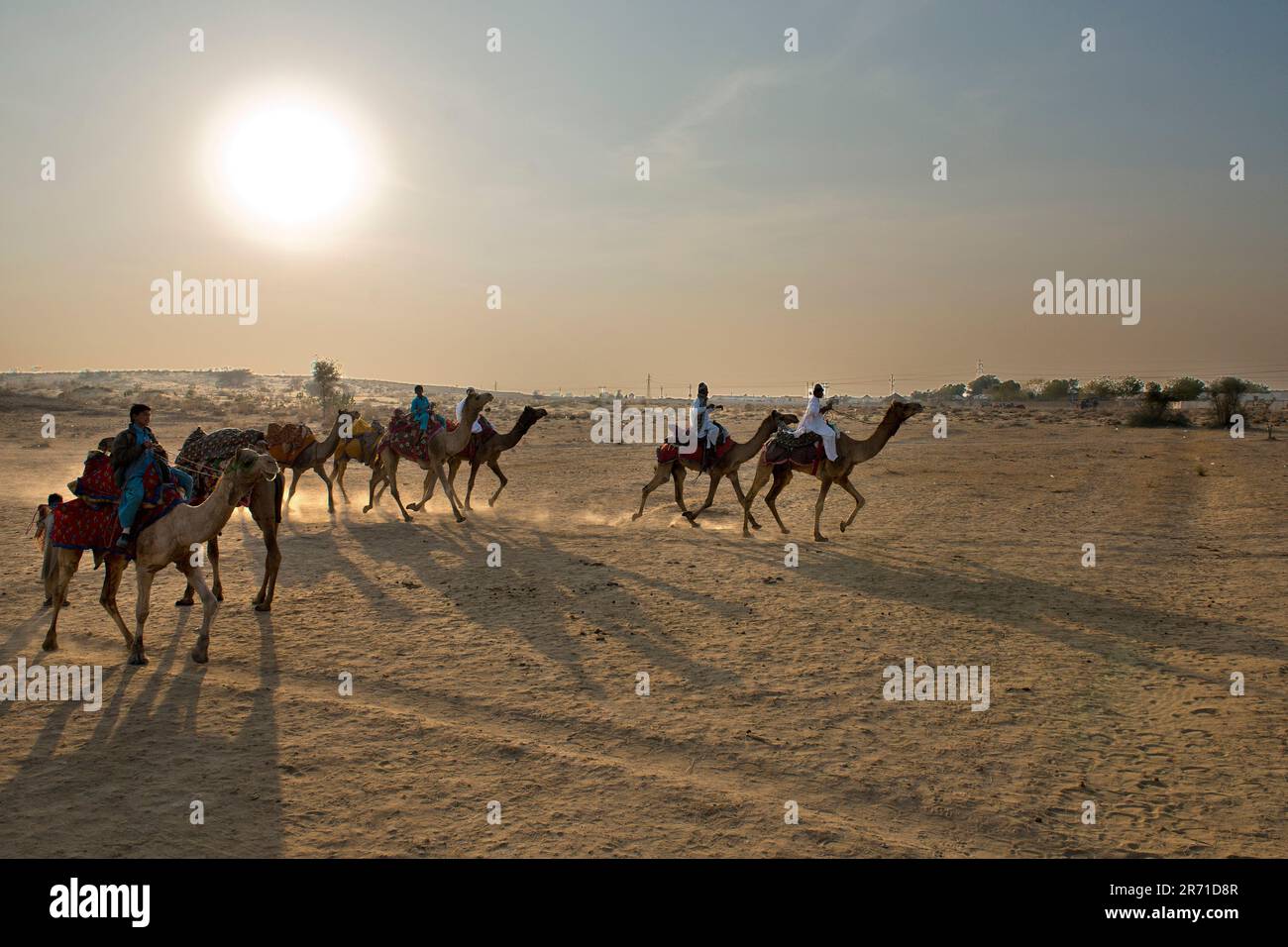 India, Rajasthan, Jaisalmer, camel ride desert Stock Photo - Alamy