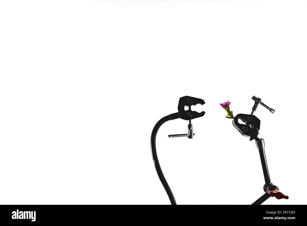 A robot arm appears to receive a romantic flower from another robot arm