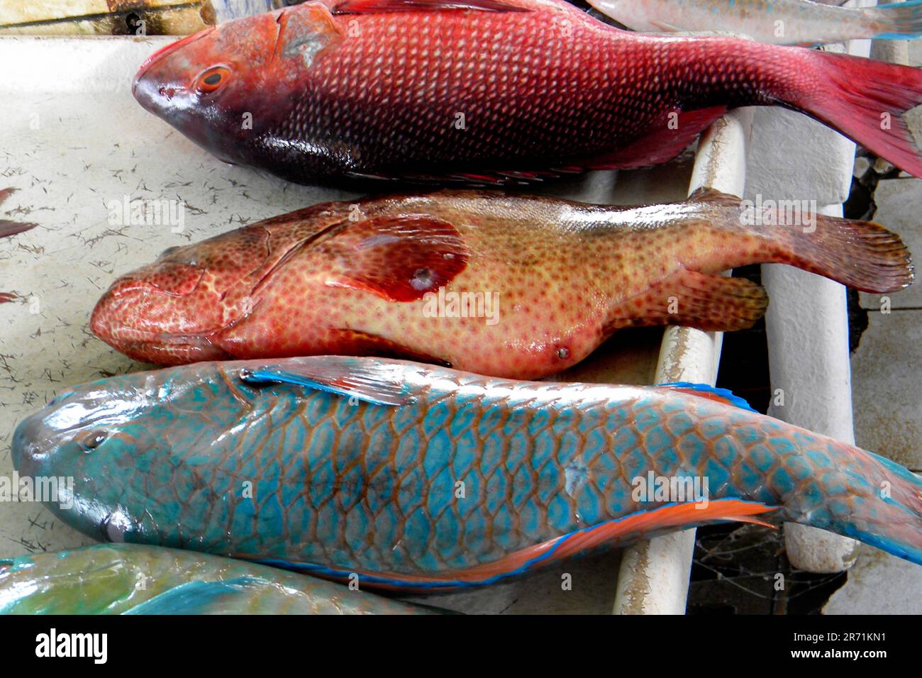 Fish market. Jeddah. Saudi Arabia Stock Photo