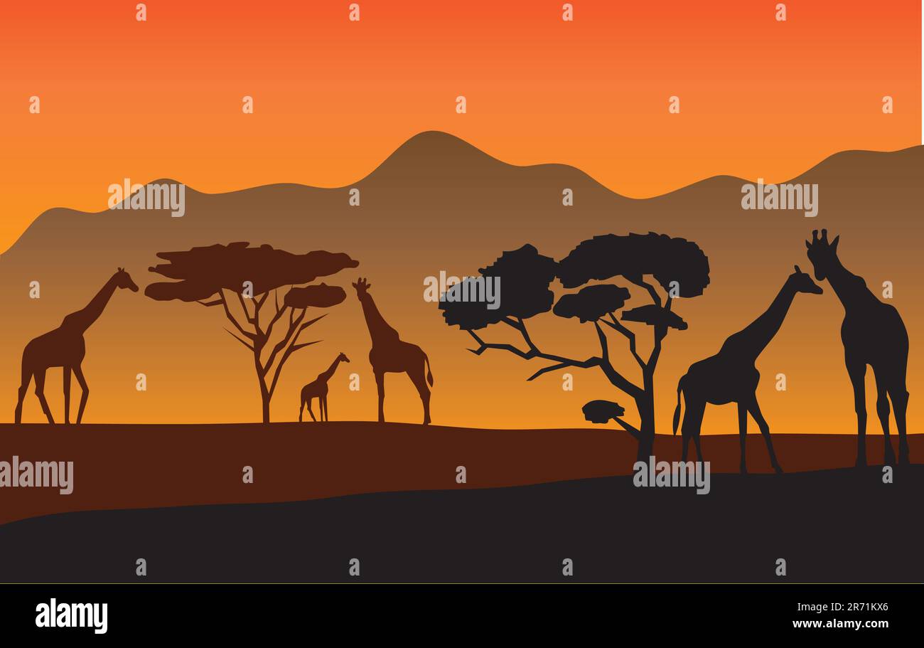 vector giraffes with babies in Africa Stock Vector Image & Art - Alamy