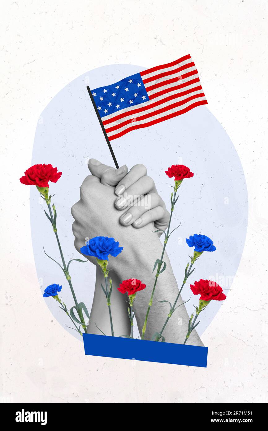 Vertical placard photo of two hands support drawing magazine american flag veterans day red blue carnations isolated on grey background Stock Photo