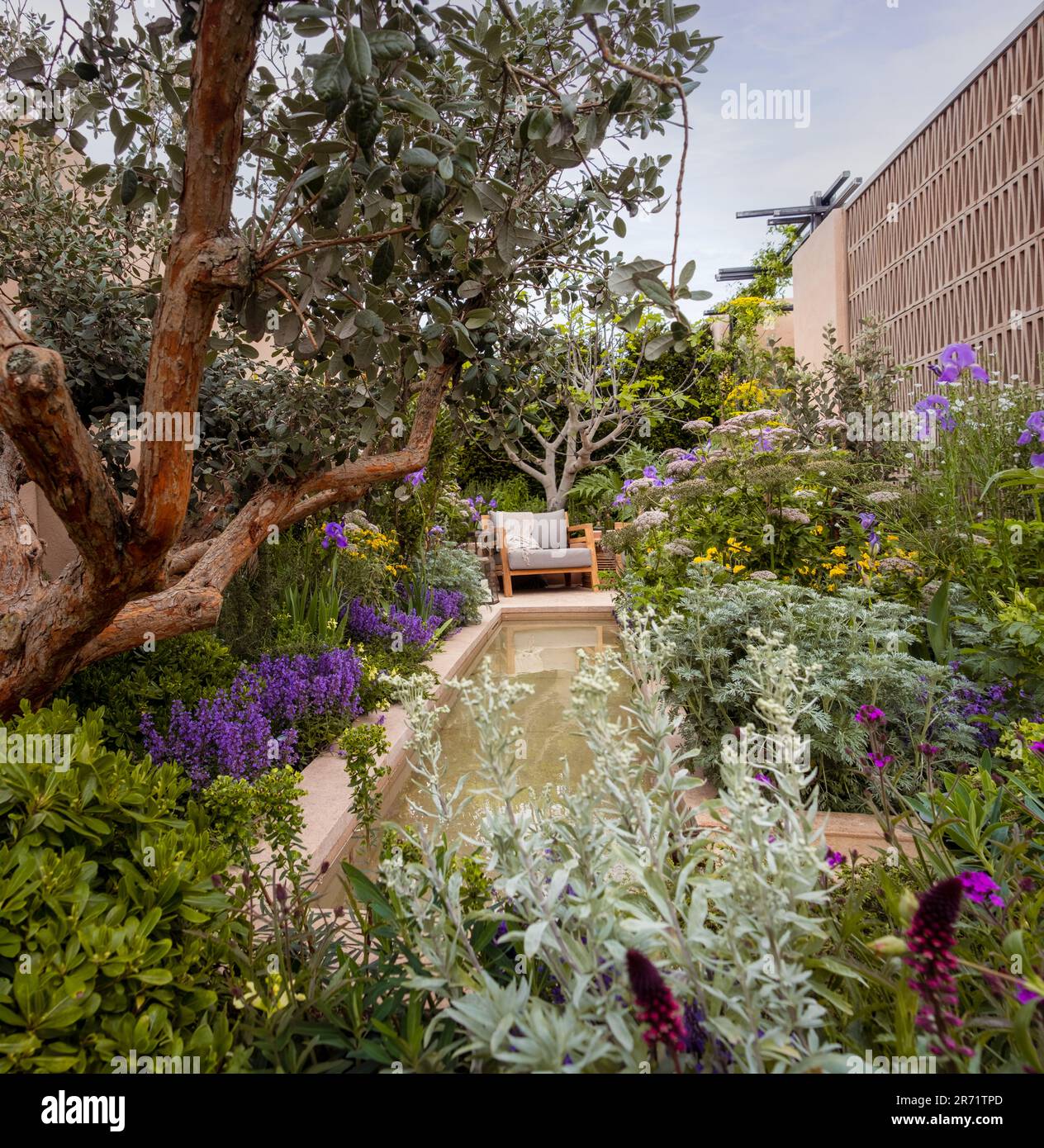 The Hamptons Mediterranean garden designed by Filippo Tester at the