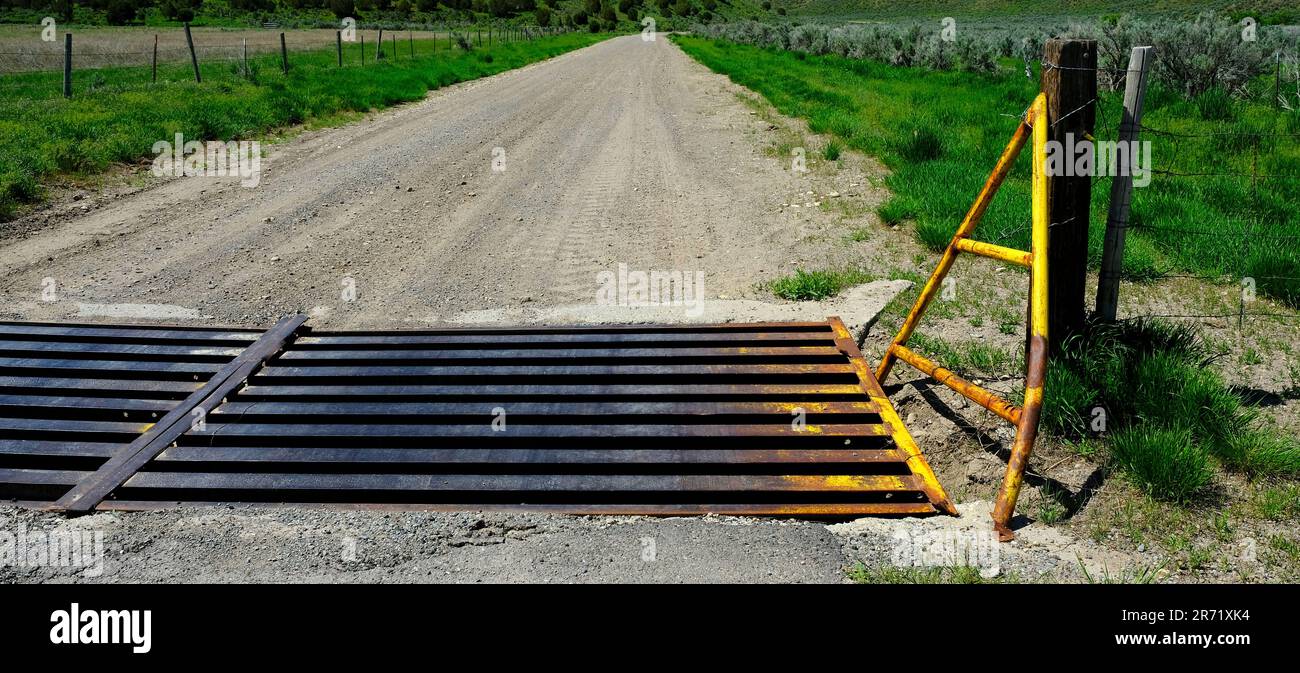 Rusted old cattle crossing grate on old country road Stock Photo - Alamy
