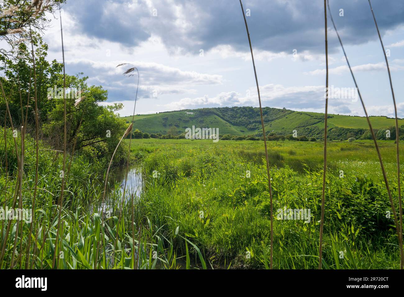 White Horse and stream also known as Hindover Hill White Horse
