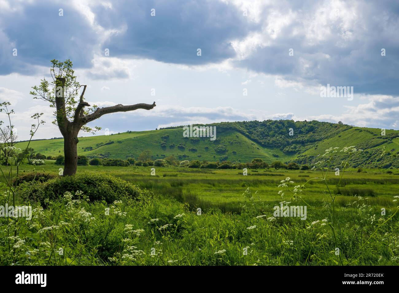 White Horse also known as Hindover Hill White Horse, Litlington, East