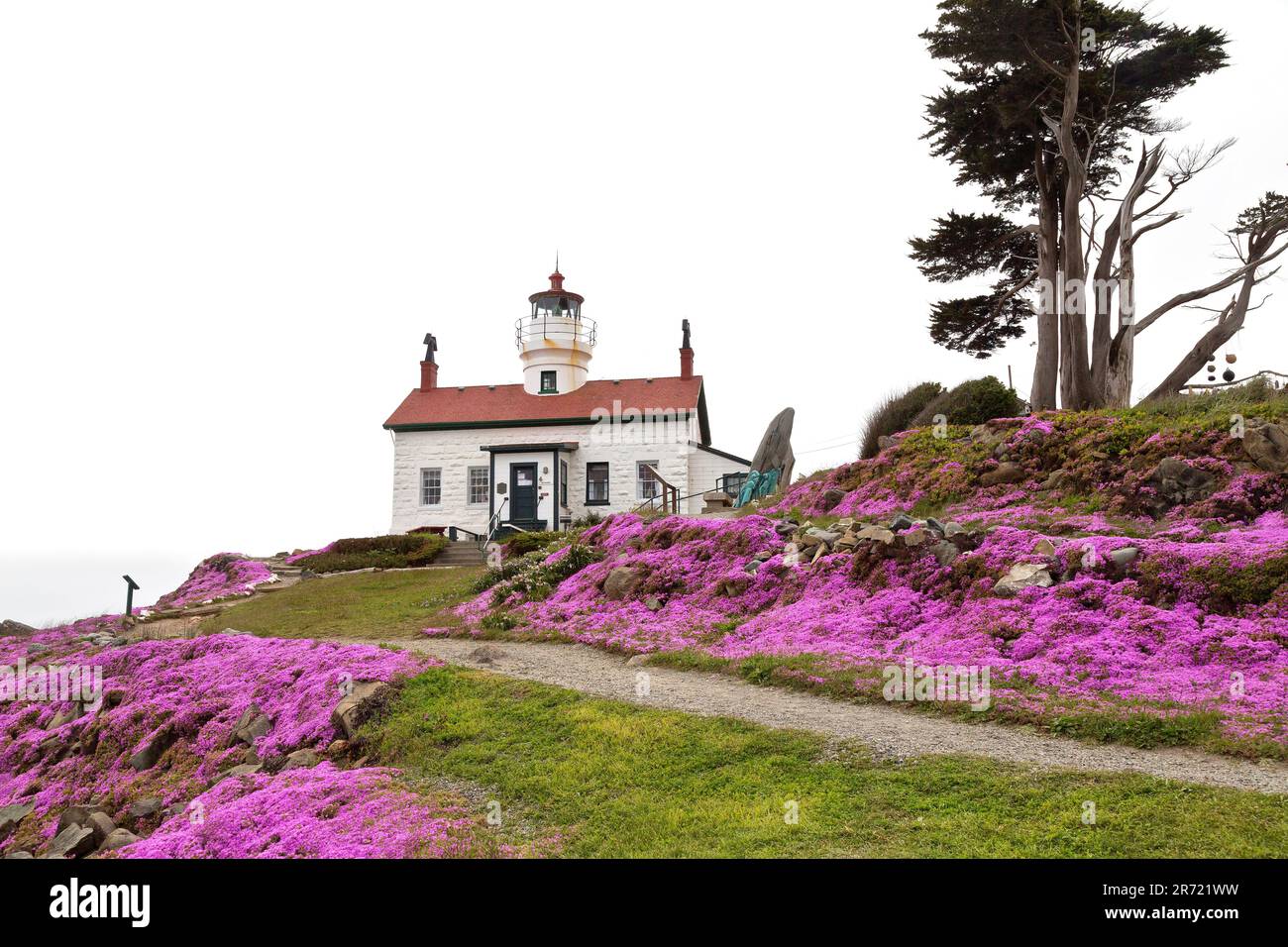 Battery Point Lighthouse & museum (reachable at low tide), currently active lighthouse, flowering late spring, overcast with high fog. Stock Photo