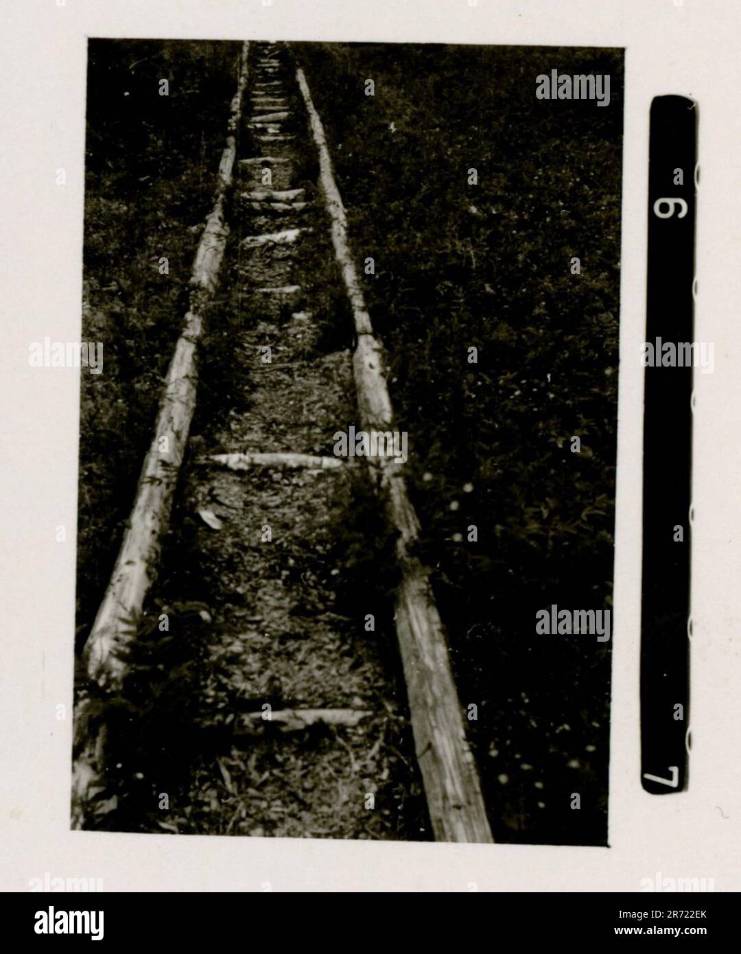 Dutch waffen ss hi-res stock photography and images - Alamy