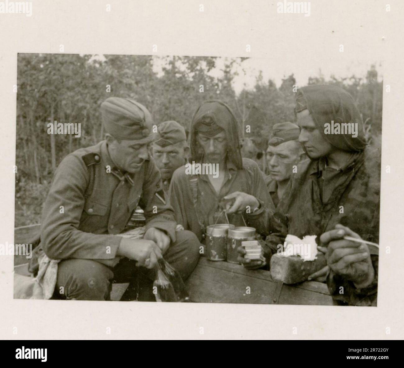 Dutch waffen ss hi-res stock photography and images - Alamy