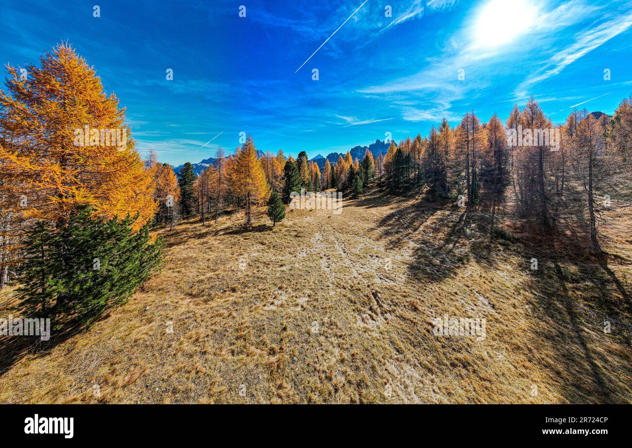 A scenic landscape featuring tall trees and slim white clouds in a ...