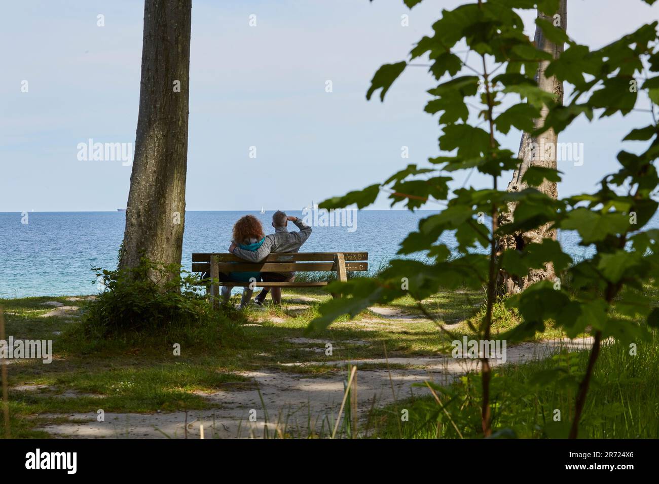 urwüchsiger Gespensterwald in Nienhagen an der Ostsee, nahe Warnemünde, Mecklenburg-Vorpommern, Deutschland Stock Photo
