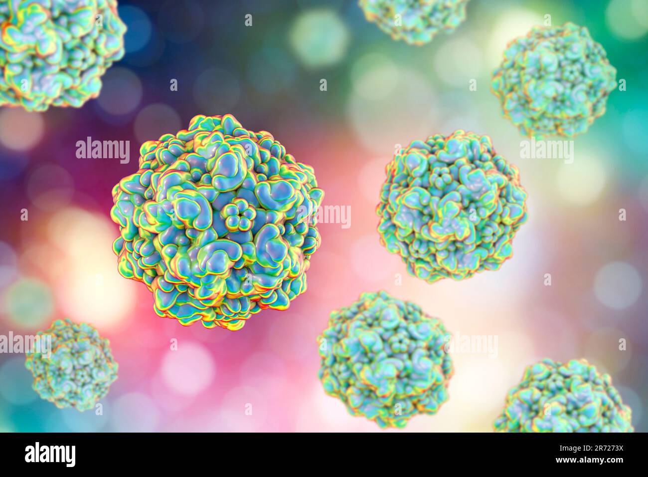 Canine parvovirus type 2 2025