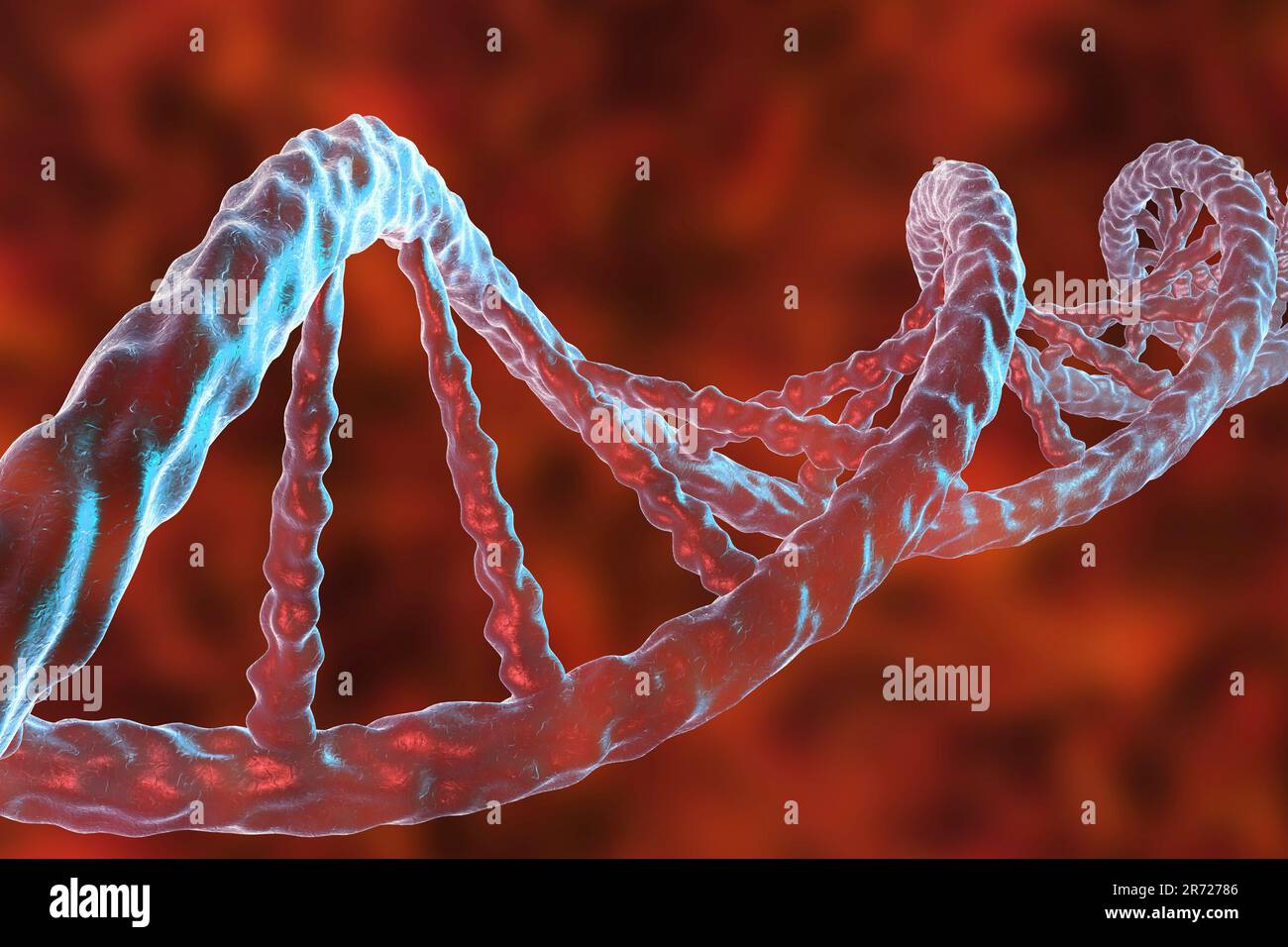 DNA molecule, computer artwork. The molecule of DNA (deoxyribonucleic