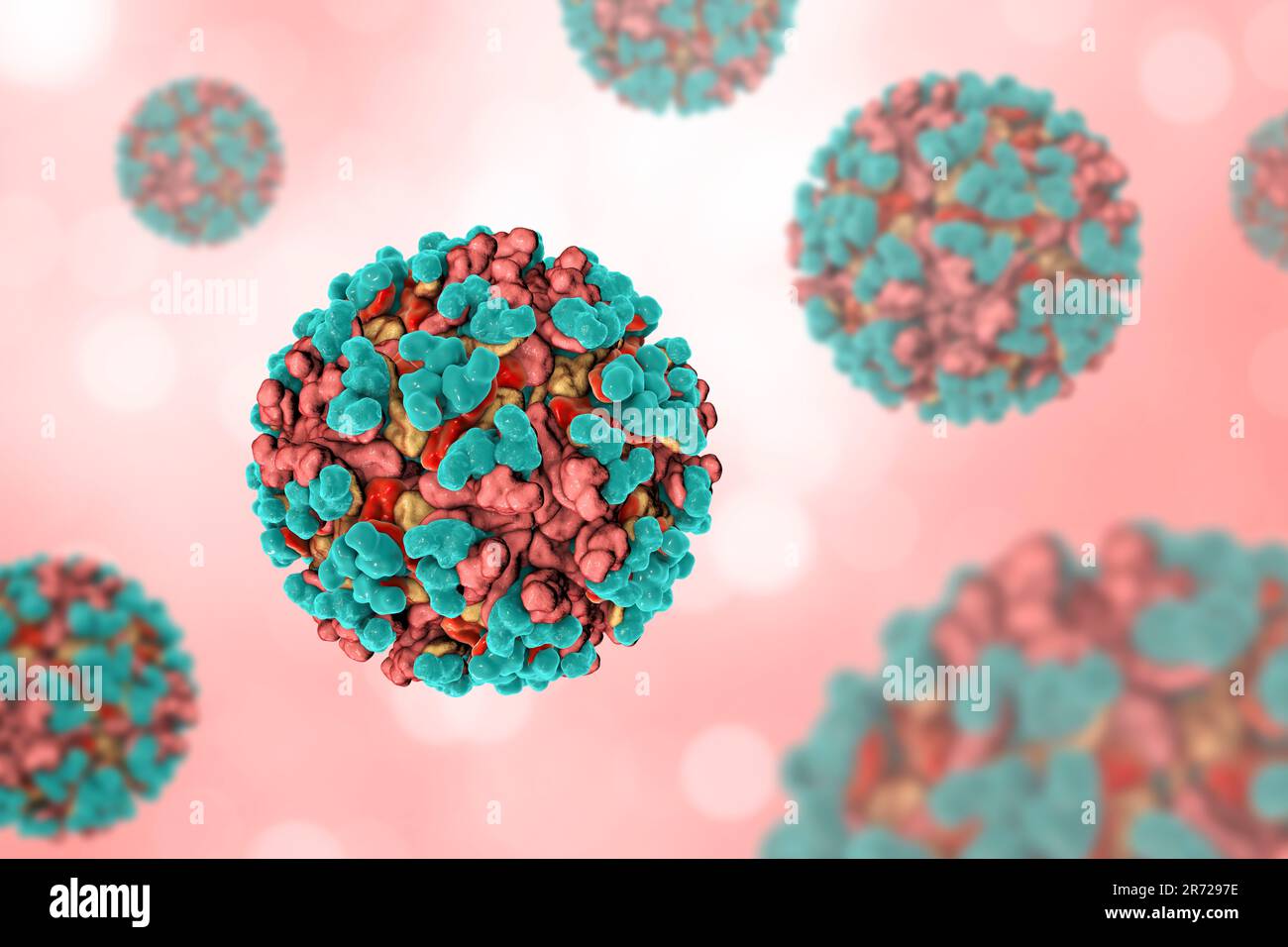 Venezuelan equine encephalitis virus, computer illustration. This mosquito-borne virus can kill horses and other equine species, causing brain and spi Stock Photo