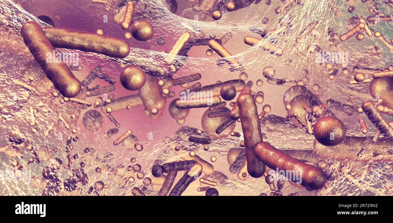 Spherical bacteria and rodshaped bacteria inside biofilm, illustration