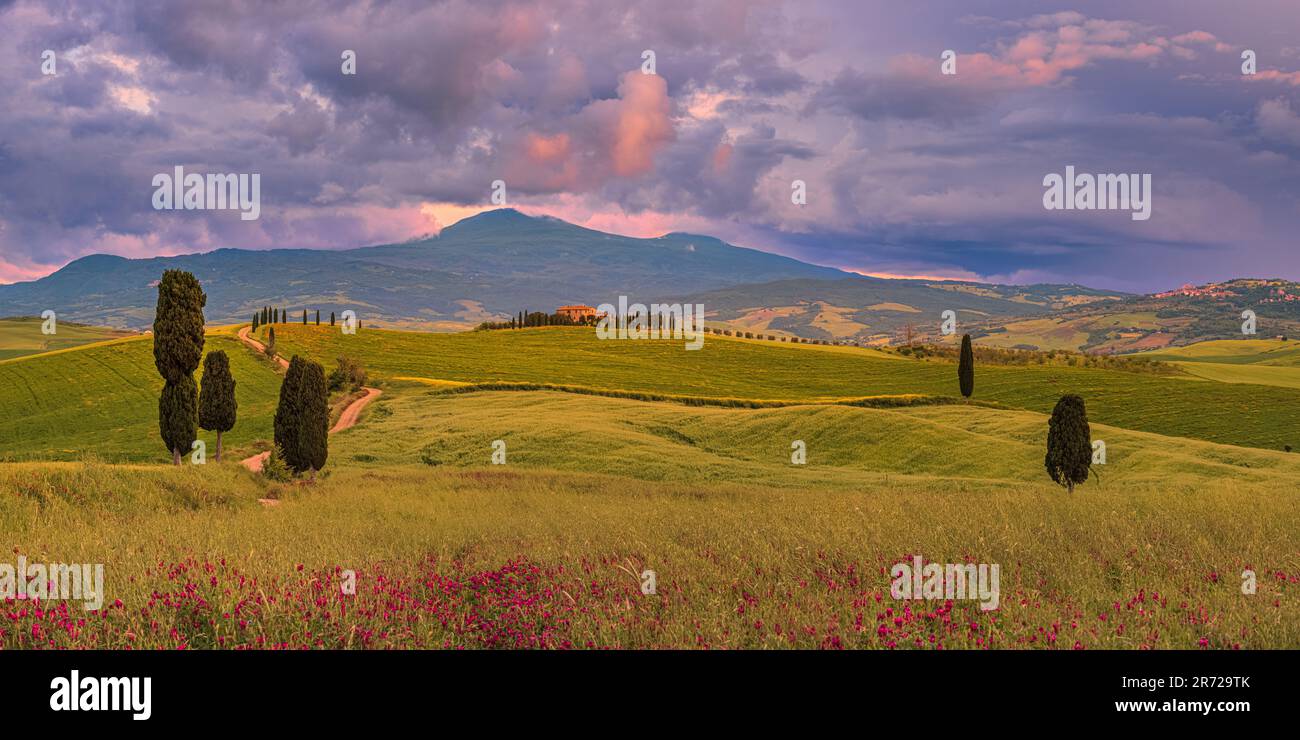 A wide 2x1 panoramic image from Tuscany, central Italy, in Val d'Orcia. This scene, close to Pienza, shows Agriturismo Podere Terrapille. The view bec Stock Photo