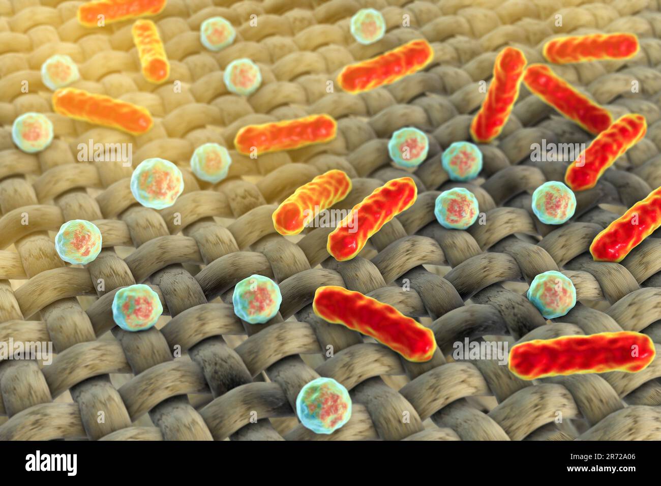Bacteria on the fabric surface, dirthy cloths, computer illustration
