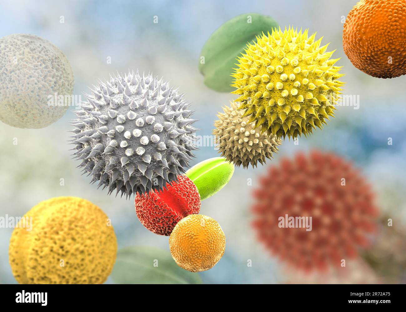 Pollen grains from different plants, conputer illustration. Pollen grain size, shape and surface texture differ from one plant species to another, as Stock Photo