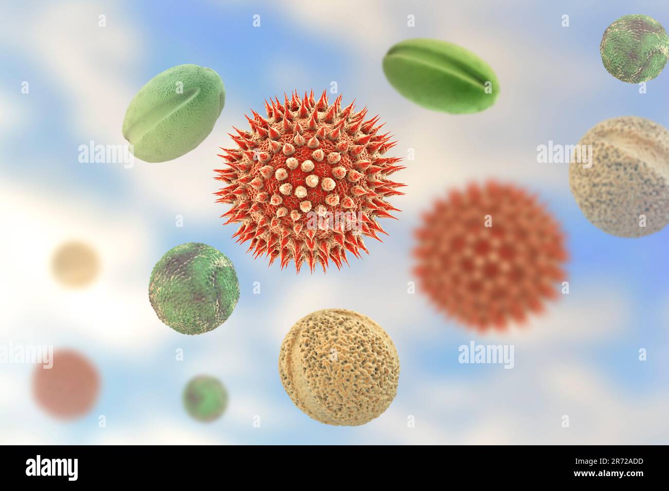 Pollen grains from different plants, conputer illustration. Pollen