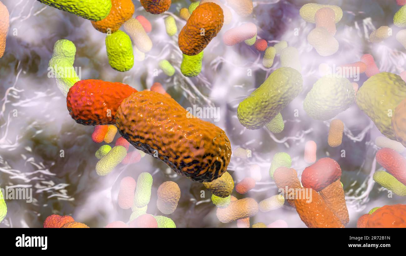 Multi-drug resistant Acinetobacter baumannii bacteria inside biofilm, computer illustration. A. baumannii is a Gram-negative, oxidase negative, aerobi Stock Photo