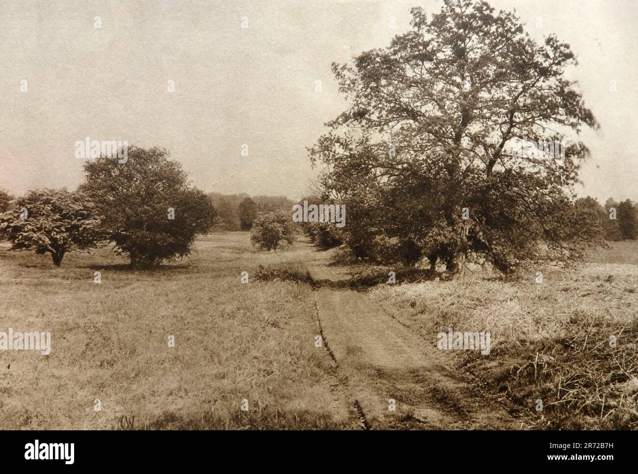 A 1933 view of part of the Peddar's Way footpath, Suffolk, England. It starts in Suffolk at Knettishall Heath Country Park following the route of a Roman road for 49 miles (79 Km) to Holme-next-the-Sea on the  Norfolk. Stock Photo
