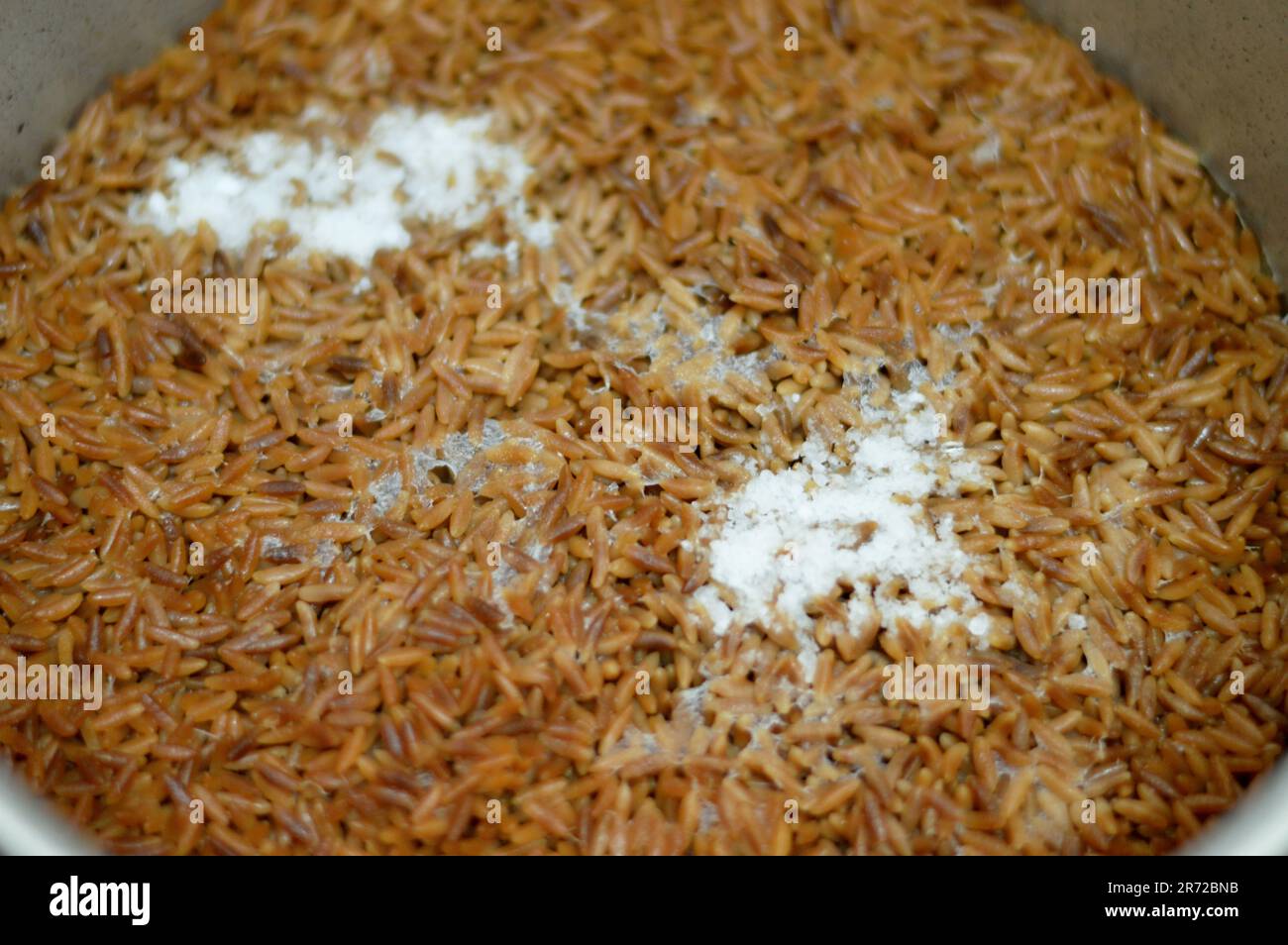 Middle Eastern Orzo Pasta Egyptian soup also known as Shorbet Lesan El ...