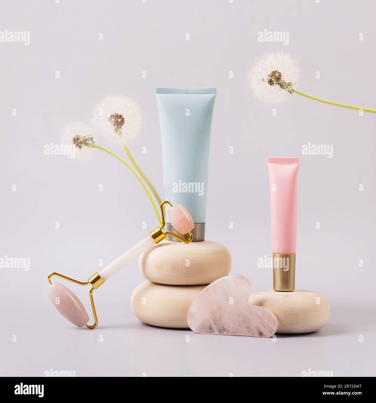 Facial anti-age massage for natural lifting and at home. Rose quartz facial roller and cosmetic bottle container on wooden stones with flower dandelio Stock Photo