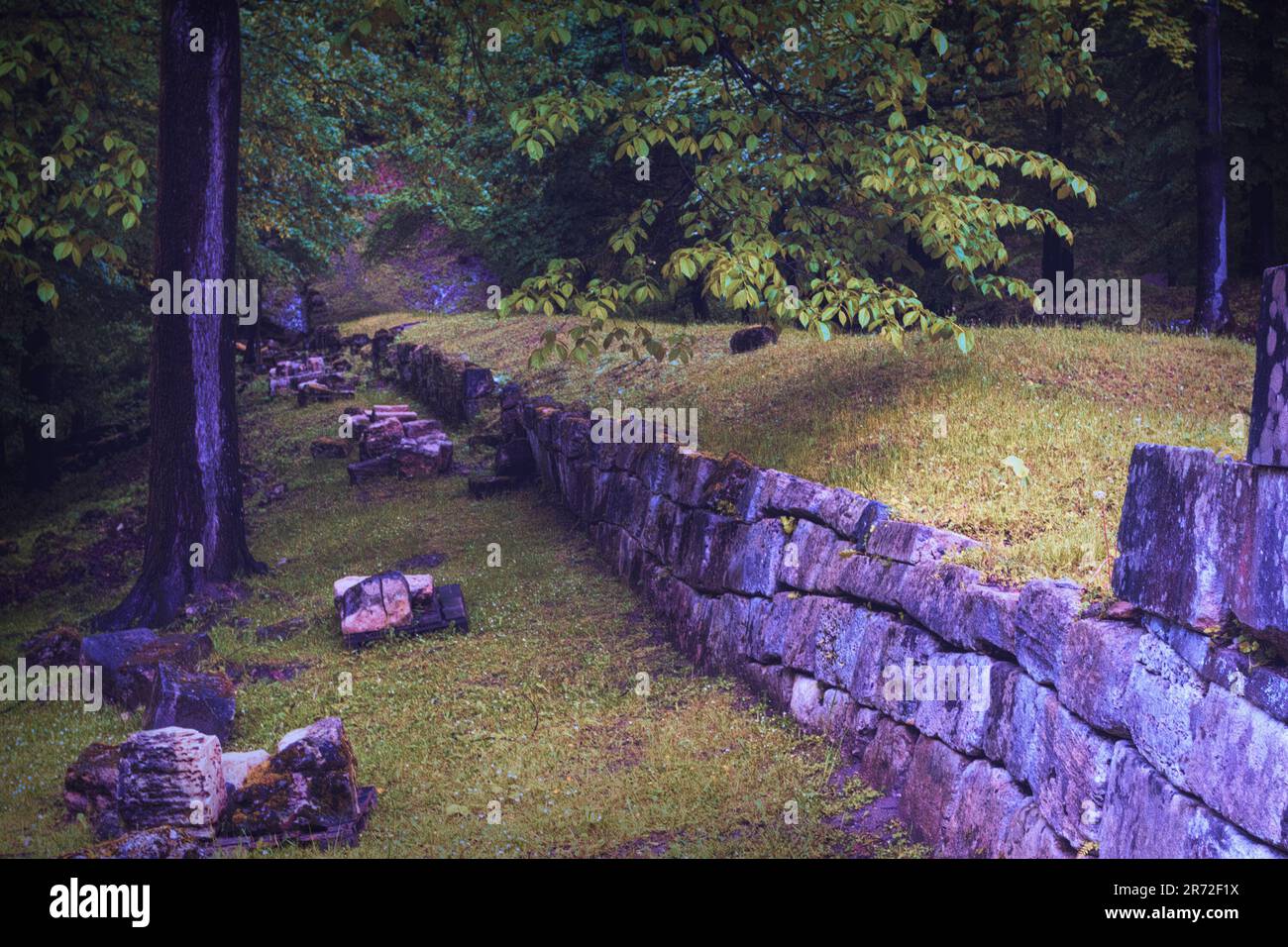 close up of the enclosure wall of Sarmizegetusa fortress in Orastiei mountains, Romania Stock Photo