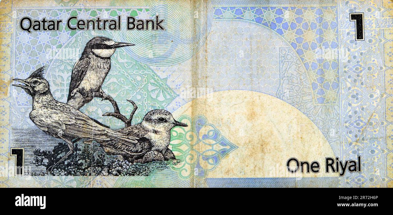 Large fragment of the reverse side of 1 Qatari Riyal cash money currency of Qatar banknote with native birds Crested Lark Galerida cristata, Eurasian Stock Photo