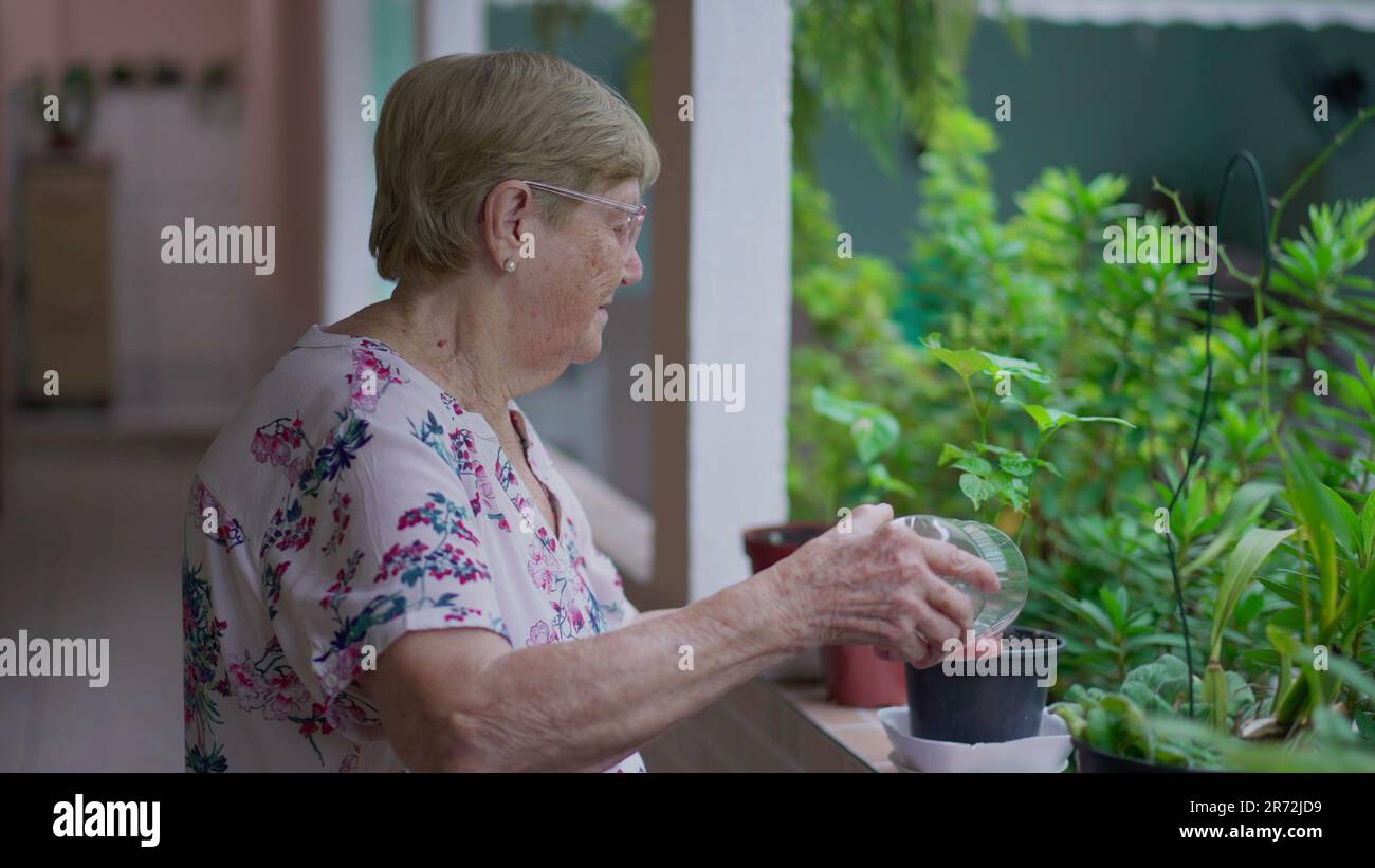 80 year old gardening hi-res stock photography and images - Alamy