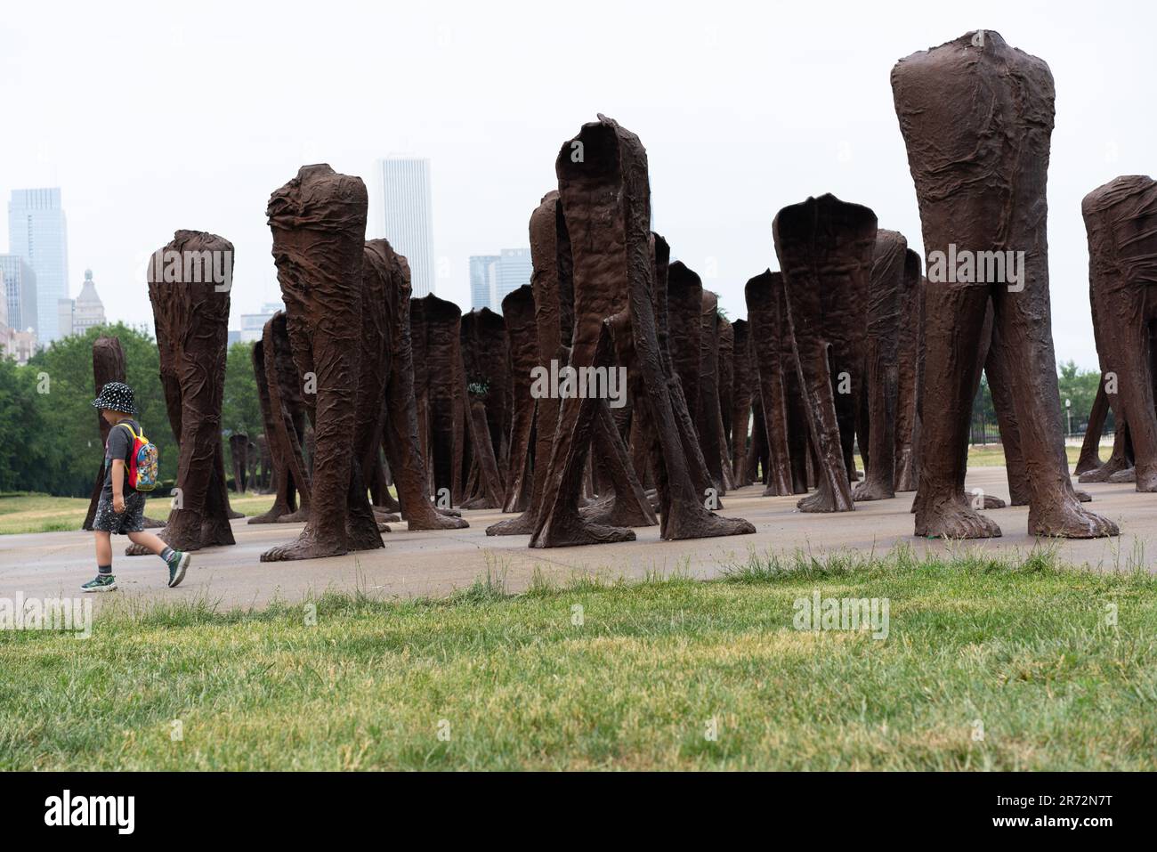 Chicago Field museum Natural History is one of the largest such museums in the world Stock Photo
