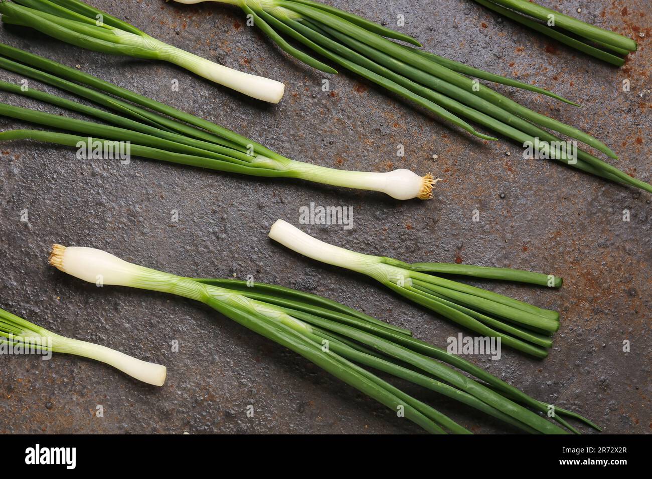 Fresh green onion on dark background Stock Photo - Alamy