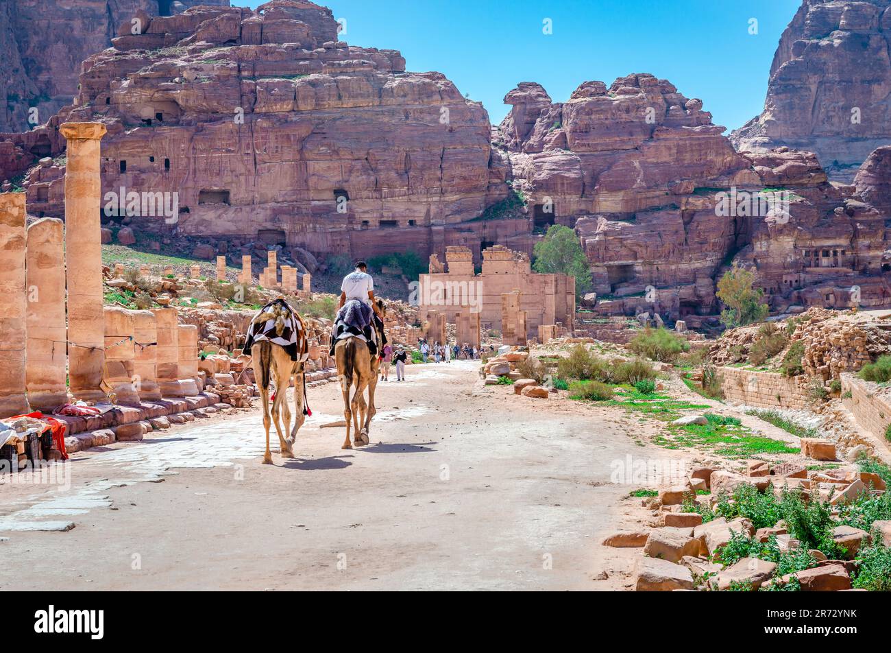 The Colonnade Street that runs through Petra, with many unexcavated sites on either side and the temple of Qasr al-Bint up front. Jordan. Stock Photo