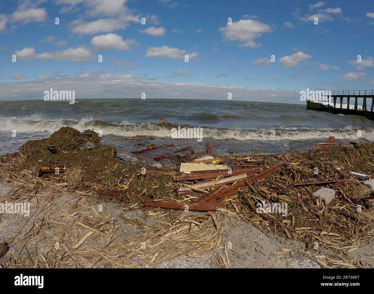 Odessa, Ukraine. 12th June, 2023. Floating debris has reached the Black ...