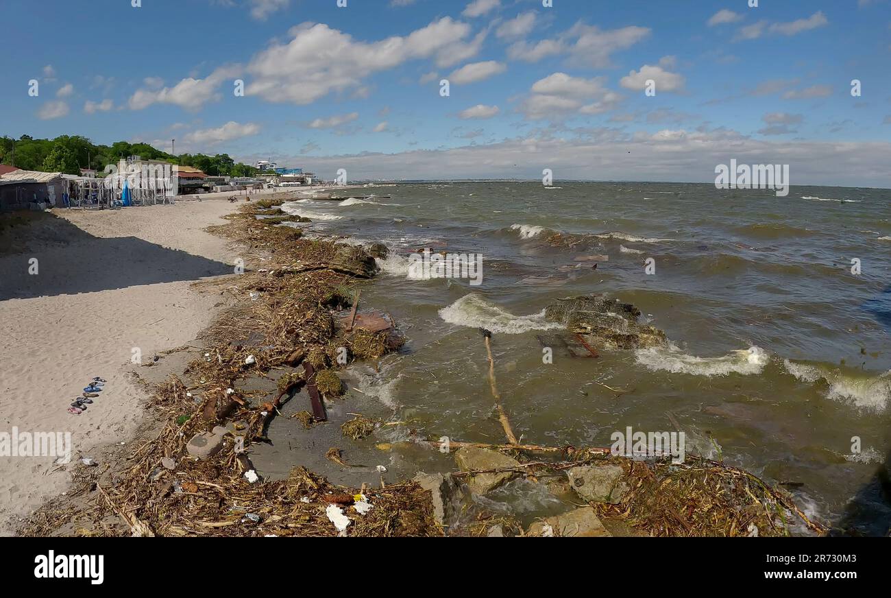 Odessa, Ukraine. 12th June, 2023. Floating debris has reached the Black ...