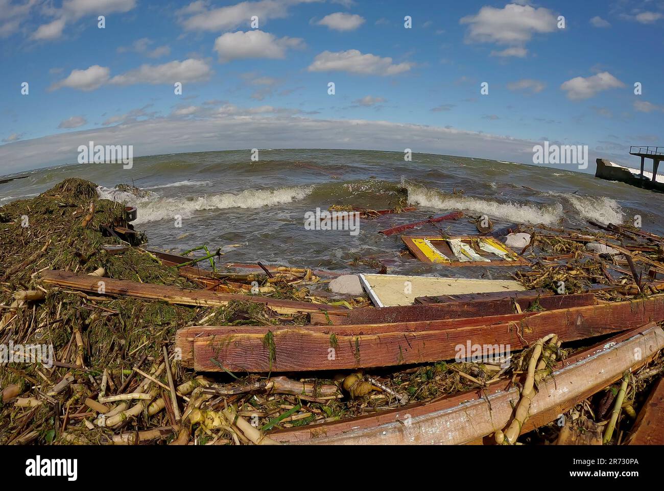 Odessa, Ukraine. 12th June, 2023. Floating debris has reached the Black ...