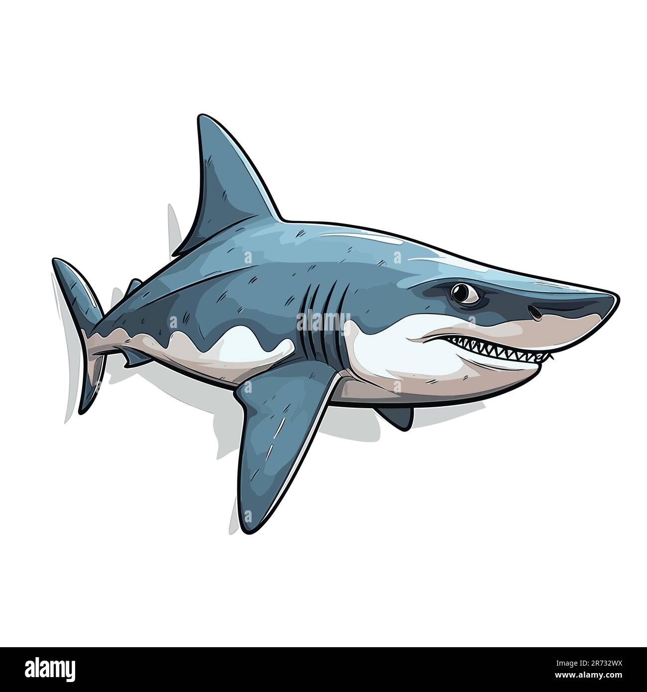 Vector illustration of shark isolated Stock Vector Image & Art - Alamy