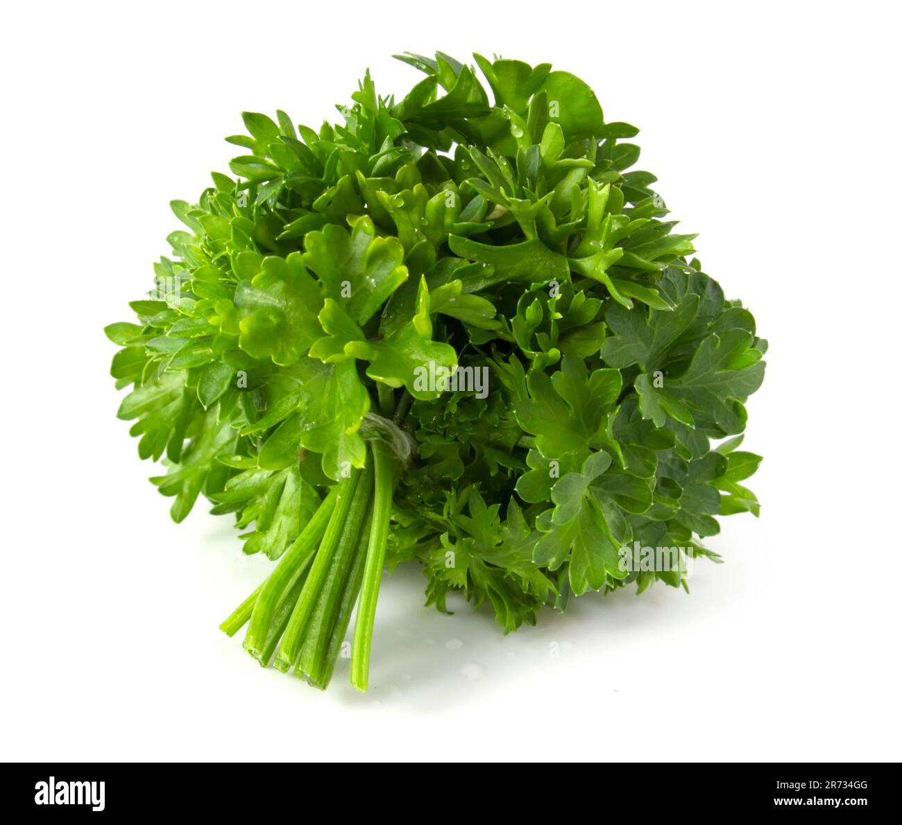 Bunch of fresh green parsley isolated on white background Stock Photo ...