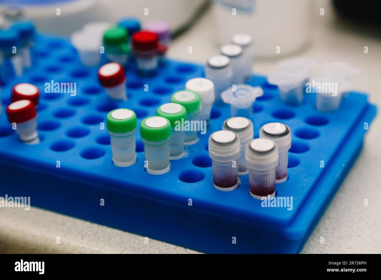 Well plate with test tubes with samples for analysis Stock Photo Alamy