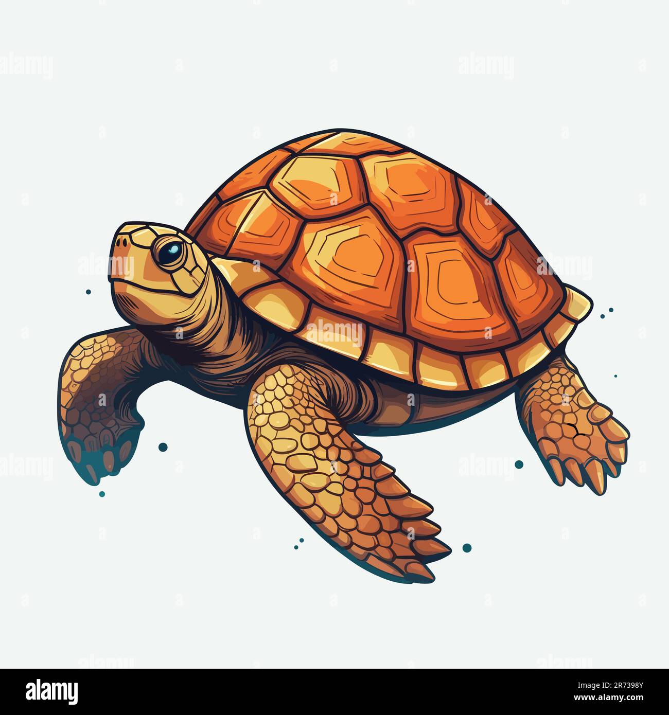 Turtle vector illustration isolated on white Stock Vector Image & Art ...