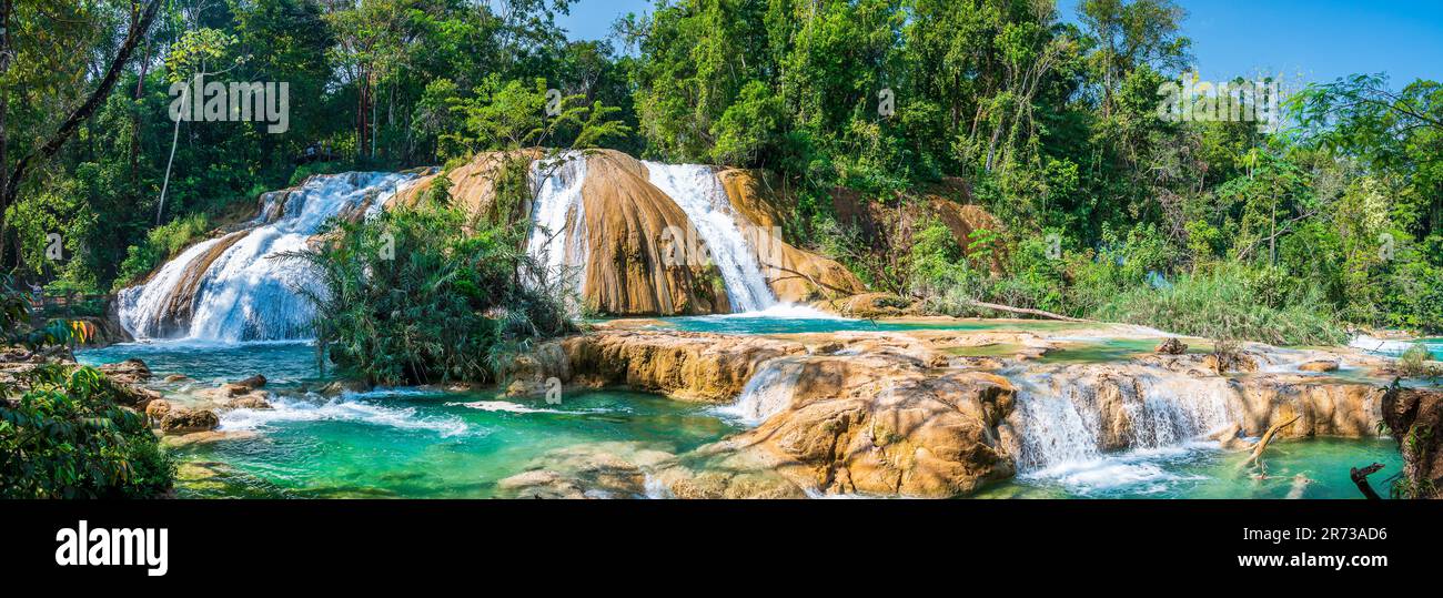 The Cascadas de Agua Azul (Spanish for "Blue Water waterfall") are a series of waterfalls found on the Xanil River in the southern Mexican state of Ch Stock Photo