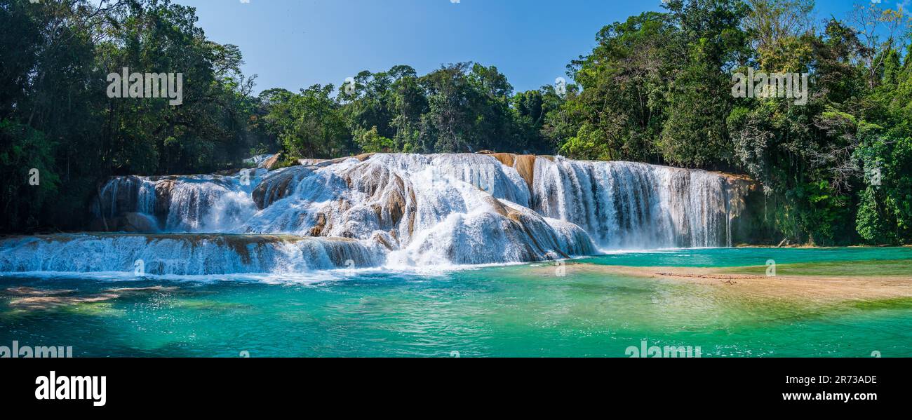 The Cascadas de Agua Azul (Spanish for "Blue Water waterfall") are a series of waterfalls found on the Xanil River in the southern Mexican state of Ch Stock Photo