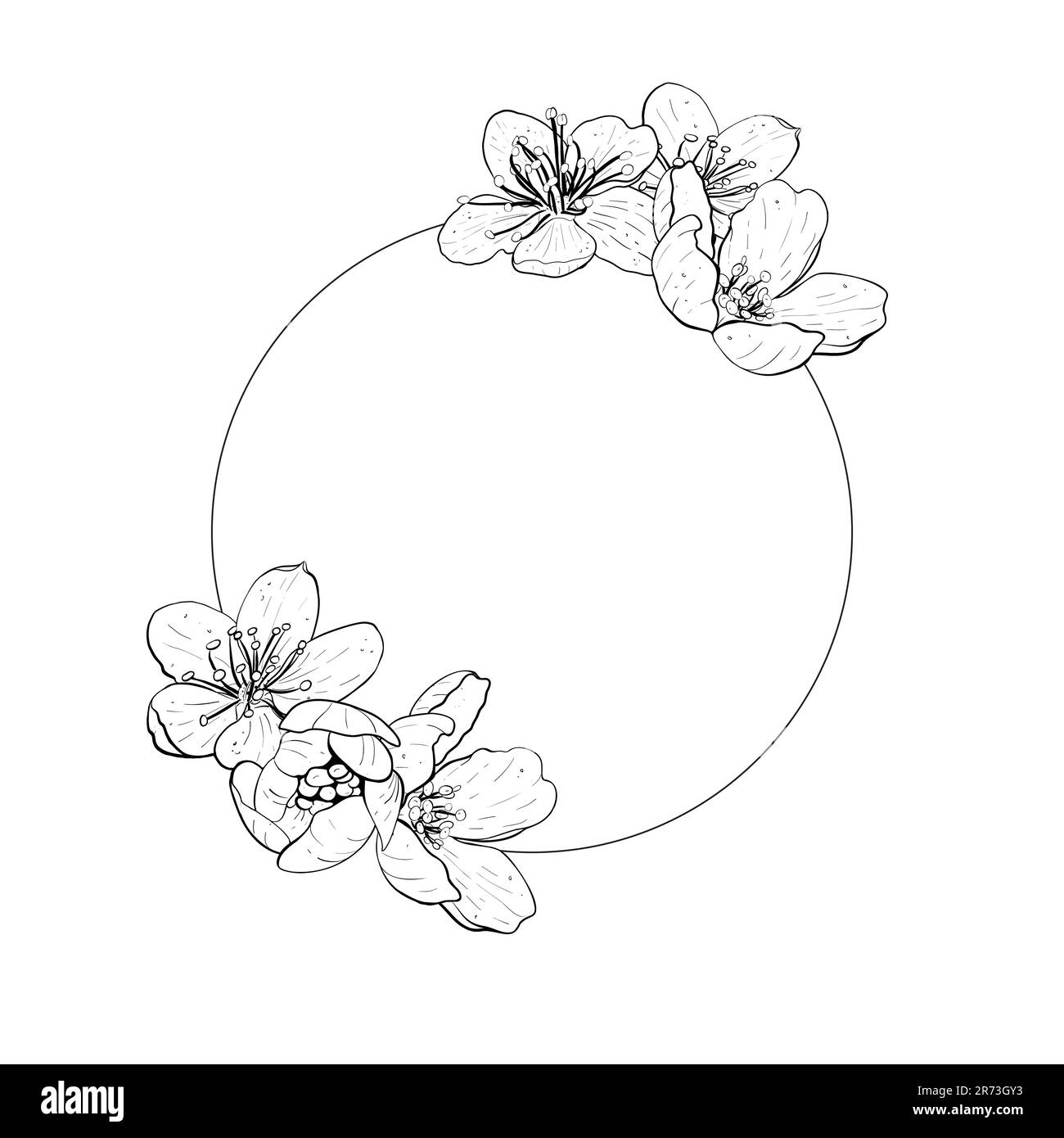 Vector illustration ring frame composition with flowers of cherry