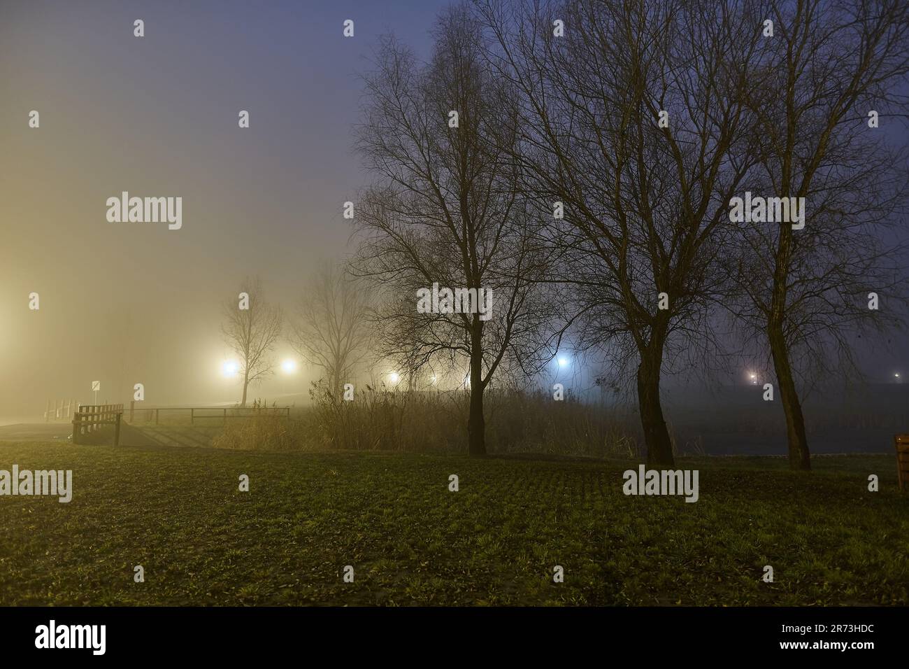 Foggy night walk hi-res stock photography and images - Alamy