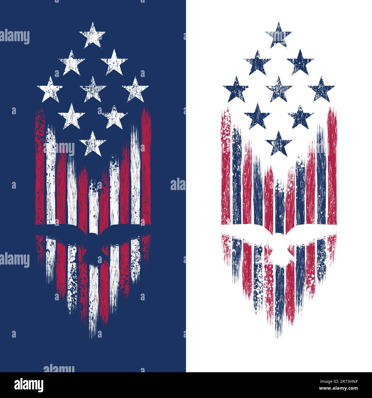 USA hawk grunge flag Stock Vector