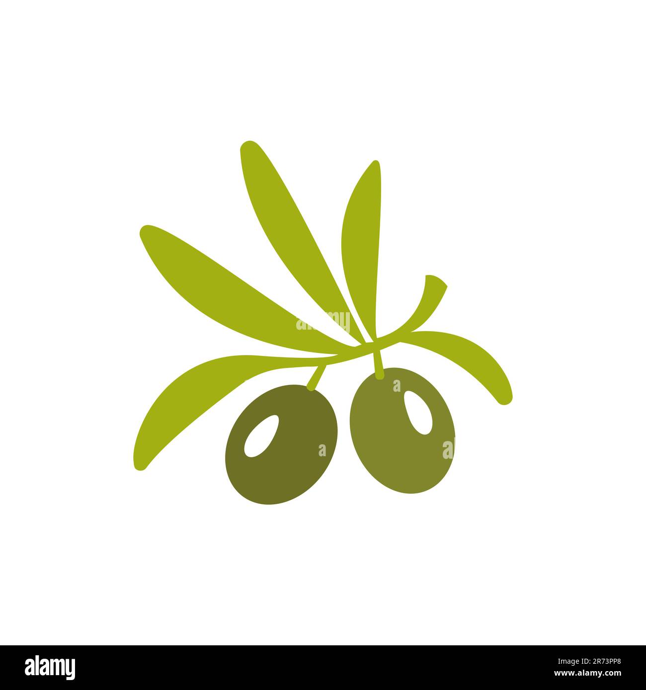 Olive branch on white background Stock Vector