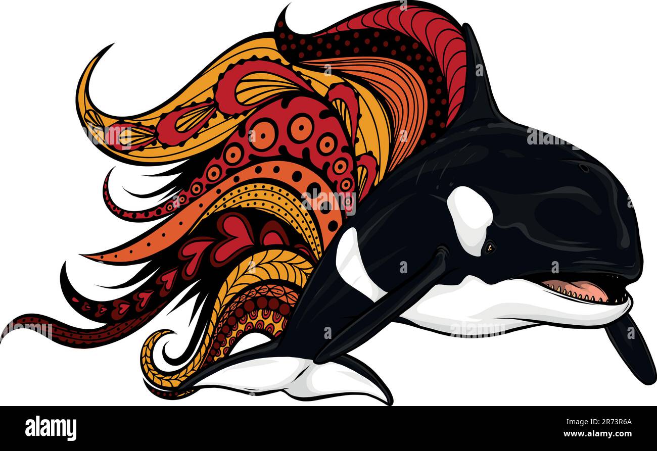 Killer Whale or Orca vector illustration design Stock Vector