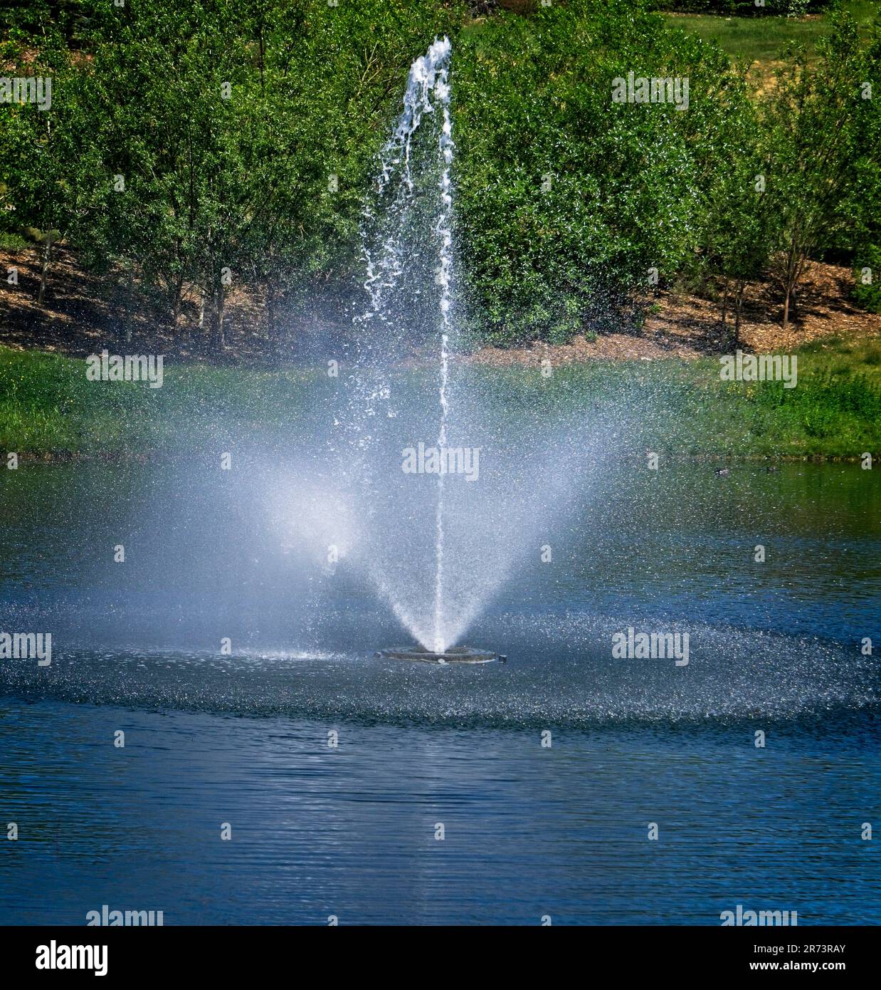 fountain,  university district Calgary Alberta Stock Photo