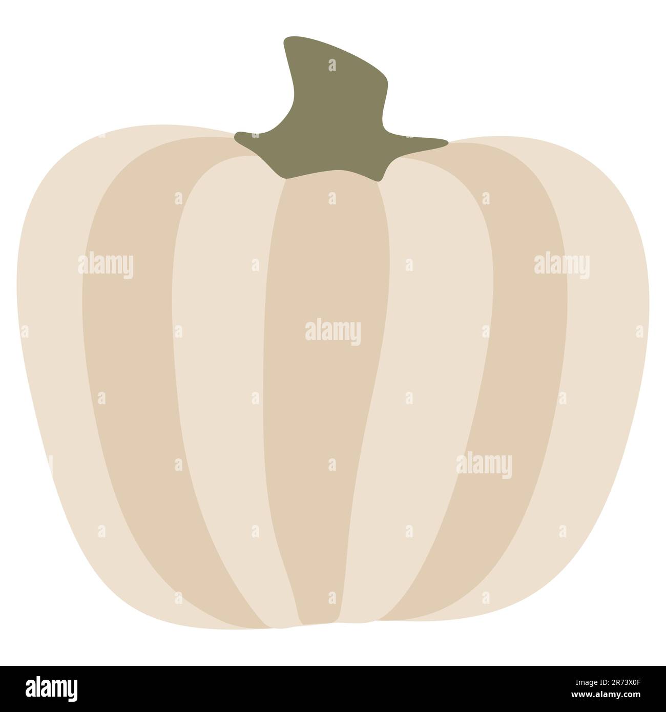 White Pumpkin Vector illustration. Gourd For Thanksgiving Day or Halloween design. Isolated on white background Stock Vector